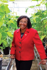 Helene Dillard profile picture