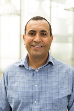 Al Rwahnih profile picture