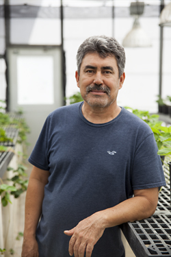 Orozco profile picture