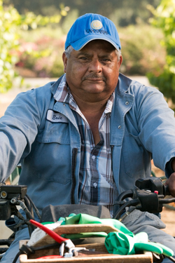 Ortiz profile picture