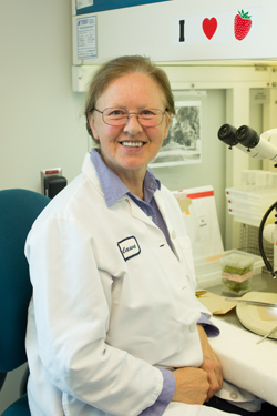 Pudlo profile picture