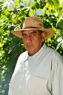 Chavez profile picture