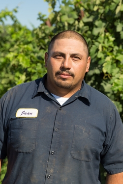 Valeriano profile picture